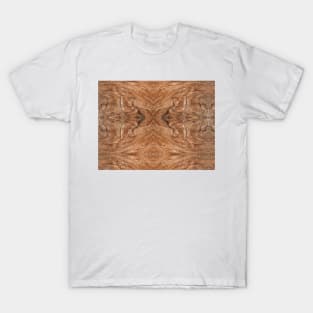 Minimalist Weathered Wooden Surface T-Shirt